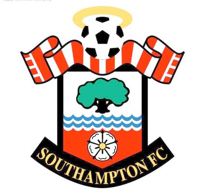 廷未来之星 廷未来之星